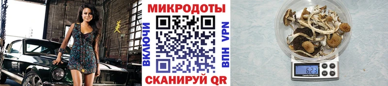 Псилоцибиновые грибы мицелий  hydra сайт  Донецк 