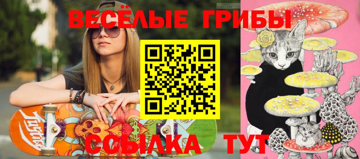 Псилоцибиновые грибы мицелий Донецк