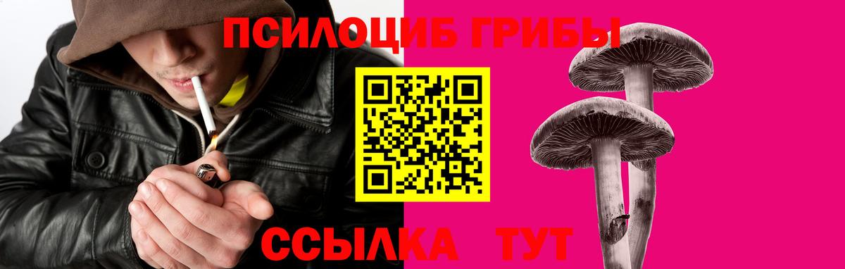Донецк  Псилоцибиновые грибы Psilocybe  Вход с VPN  Галлюциногенные грибы прущие грибы 